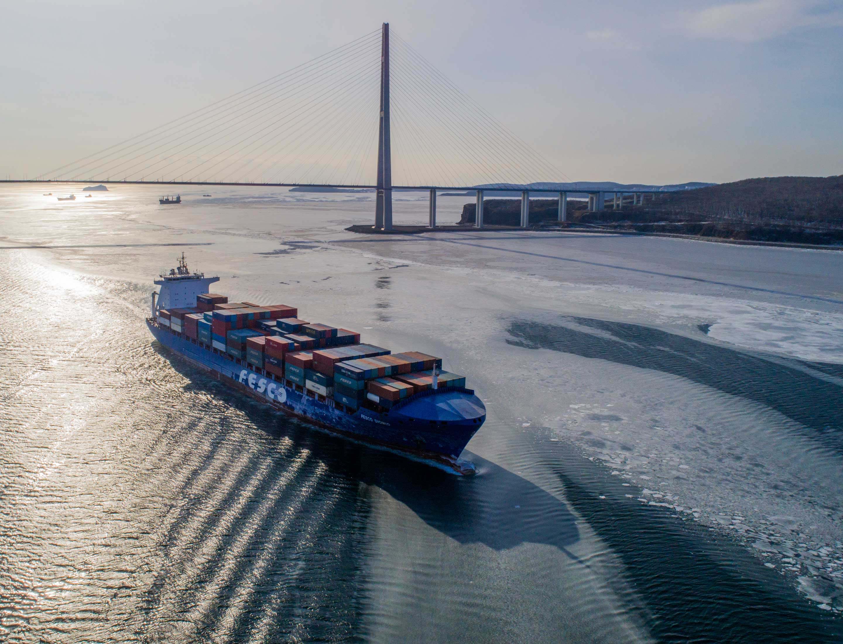 Теплоход FESCO Diomid заходит в порт Владивосток, 2018 год