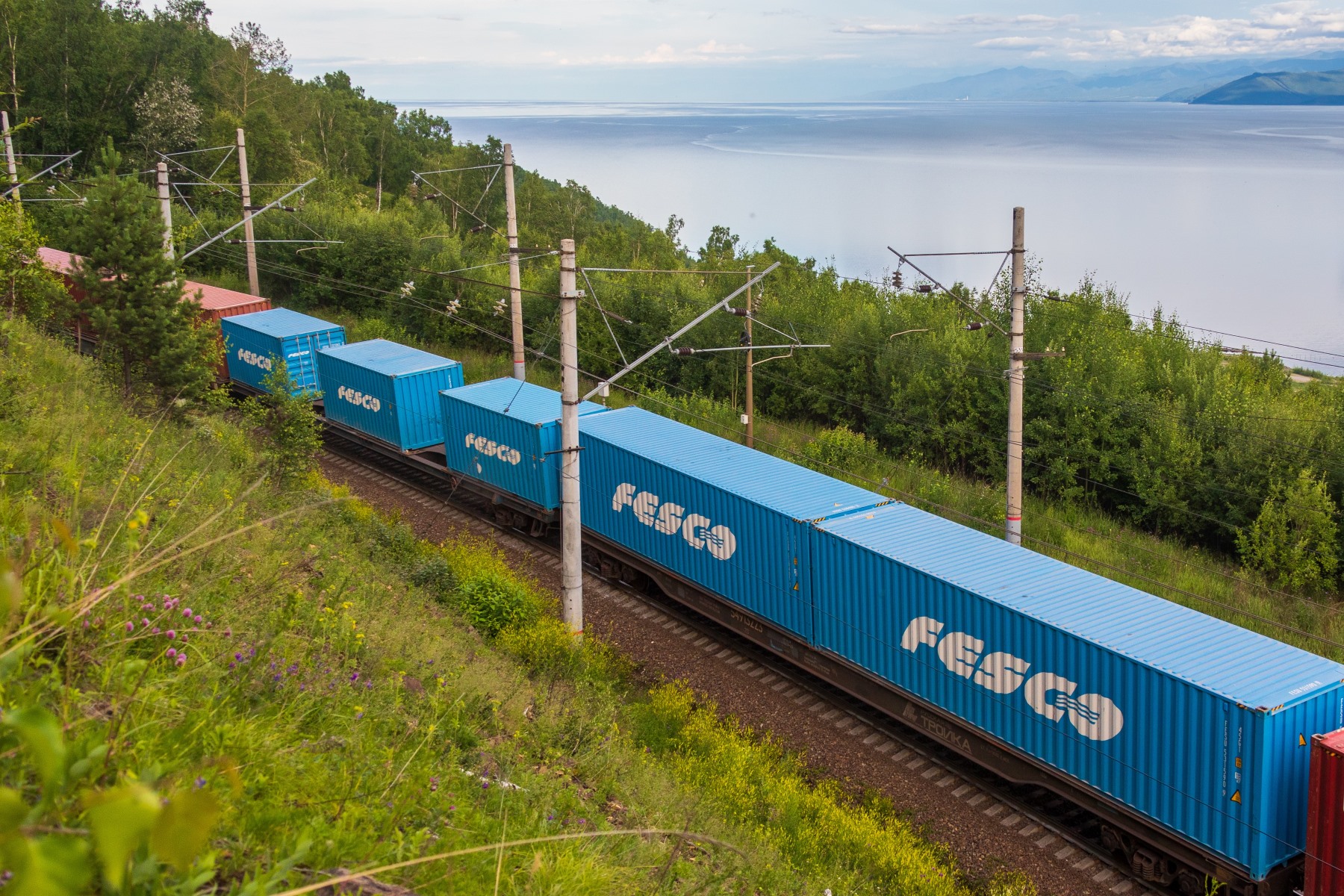 FESCO доставила первую партию семян подсолнечника из Китая в Екатеринбург через Монголию